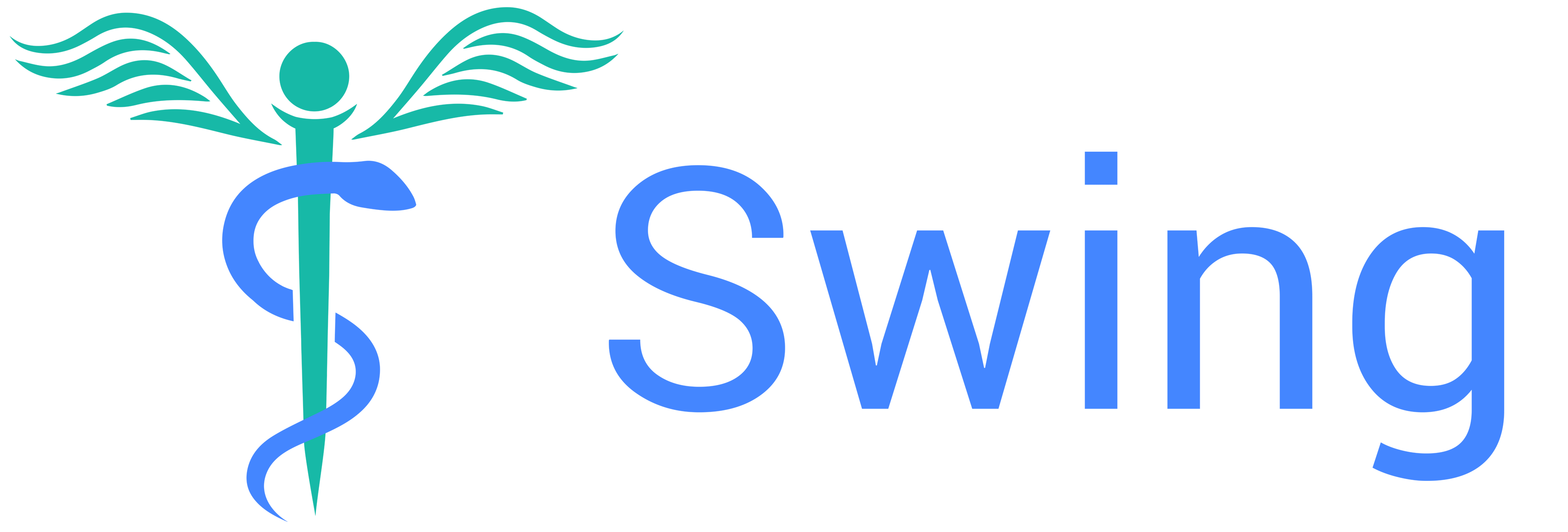 image media SWING